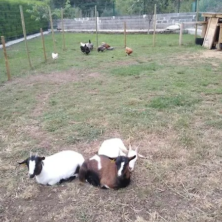 Kira En Merindades Barcenillas del Ribero