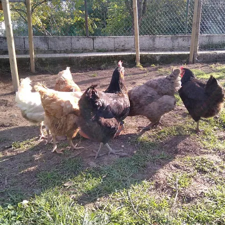 Kira En Merindades Barcenillas del Ribero